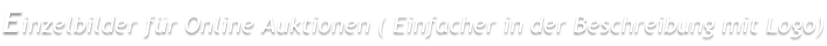 Einzelbilder für Online Auktionen ( Einfacher in der Beschreibung mit Logo)