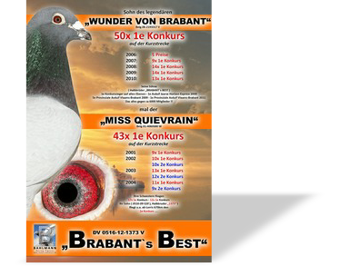 BRABANTS BEST NEU 2.jpg